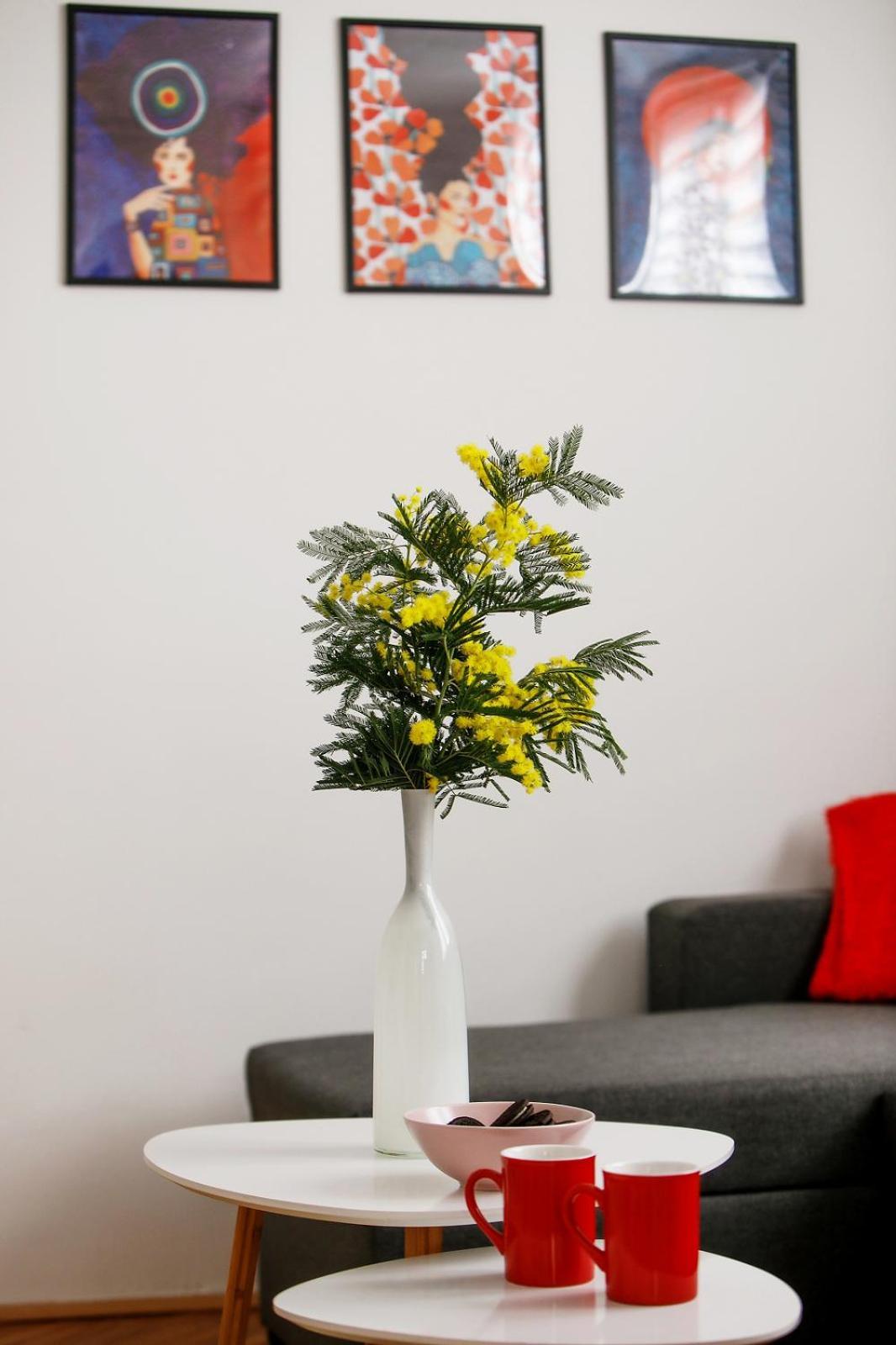 Suzy's Place Apartment